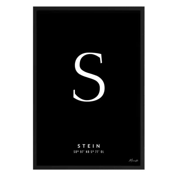 Letter S Stein